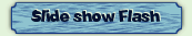 Slide show Flash